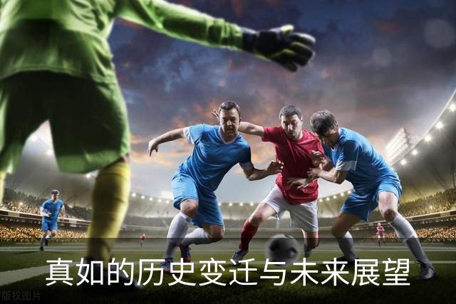 真如的历史变迁与未来展望