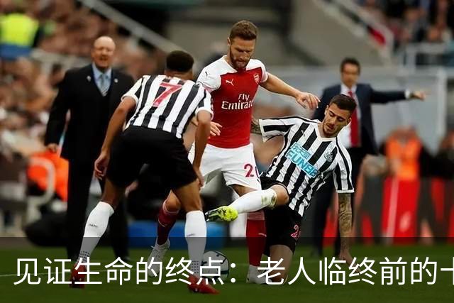 见证生命的终点：老人临终前的十个真实表现