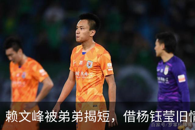 赖文峰被弟弟揭短，借杨钰莹旧情自毁声誉